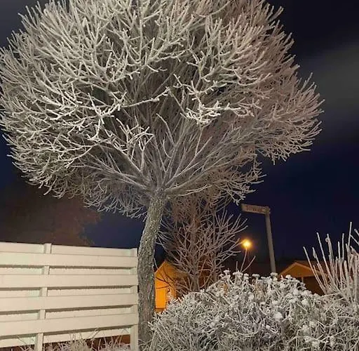 Semesterbostad Arctic Harju House *