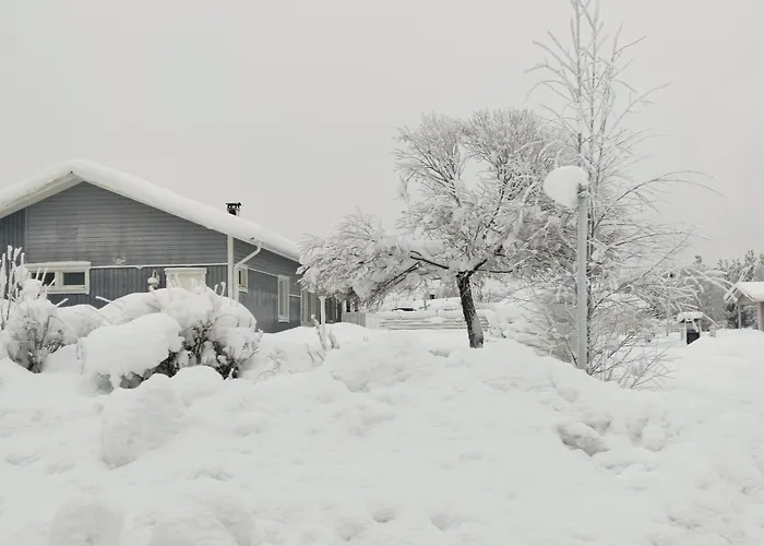 Semesterbostad Arctic Harju House *